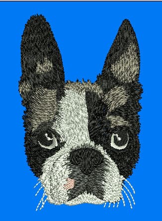 embroidery digitizing project 3